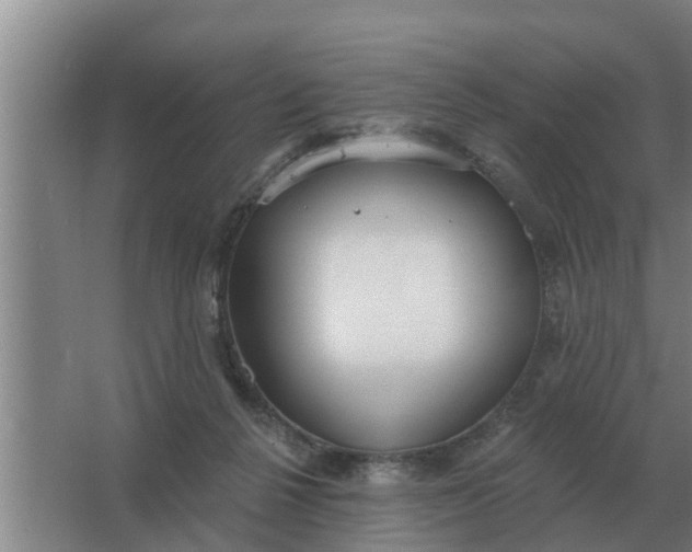 X0000063510264200602032051