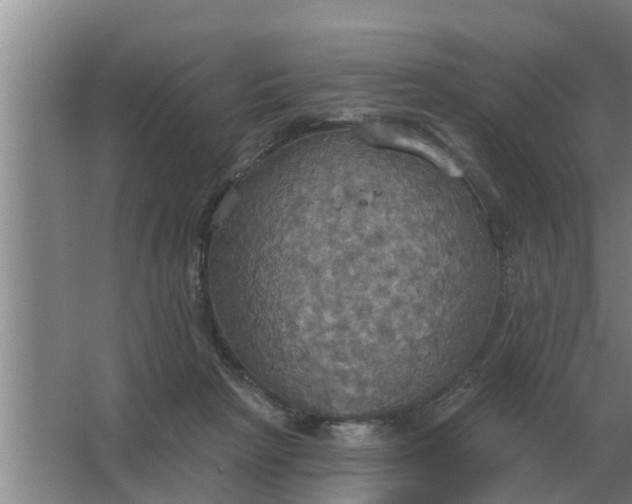 X0000063510265200602032051