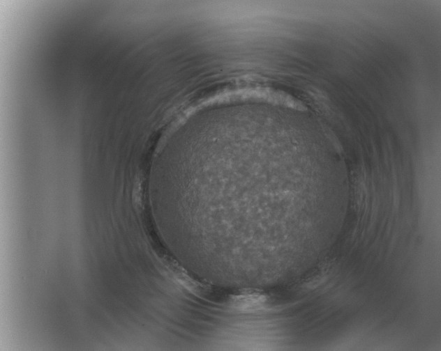 X0000063510266200602032051