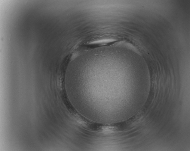 X0000063510268200602032051