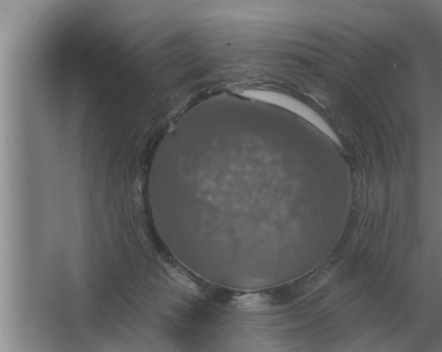 X0000063510269200602032051