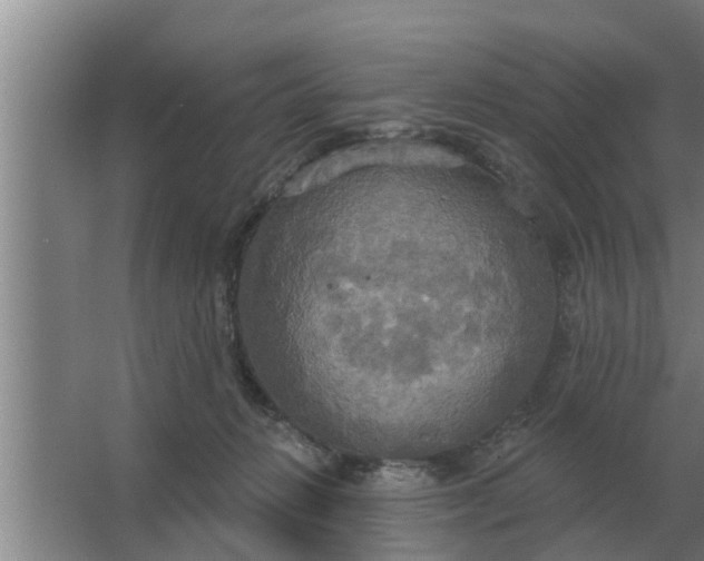 X0000063510270200602032051