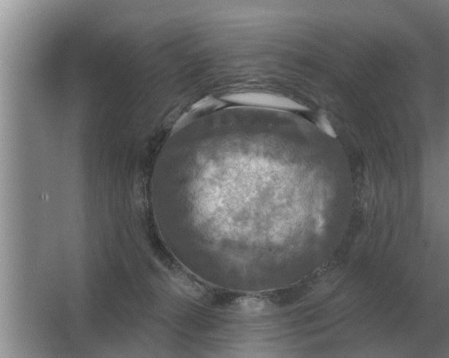 X0000063510272200602032051