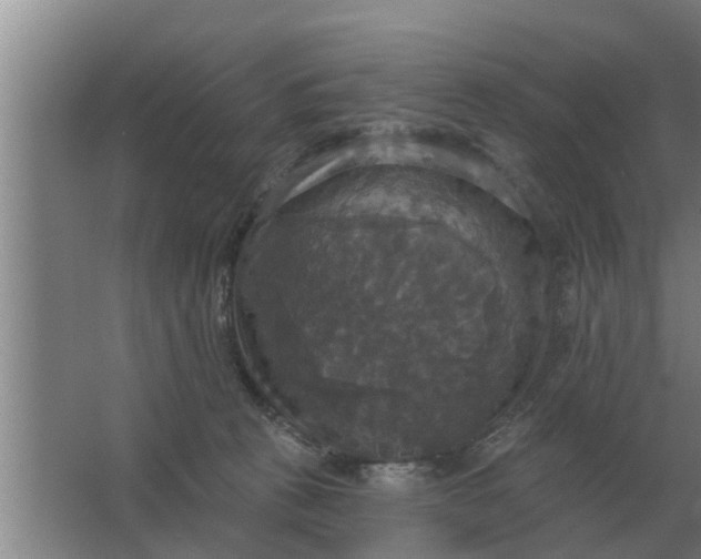 X0000063510273200602032051