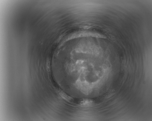 X0000063510274200602032051