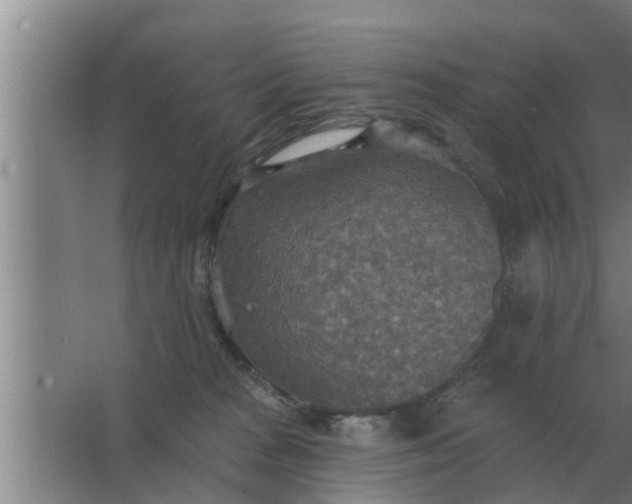 X0000063510277200602032051