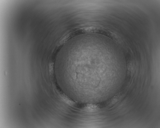 X0000063510278200602032051