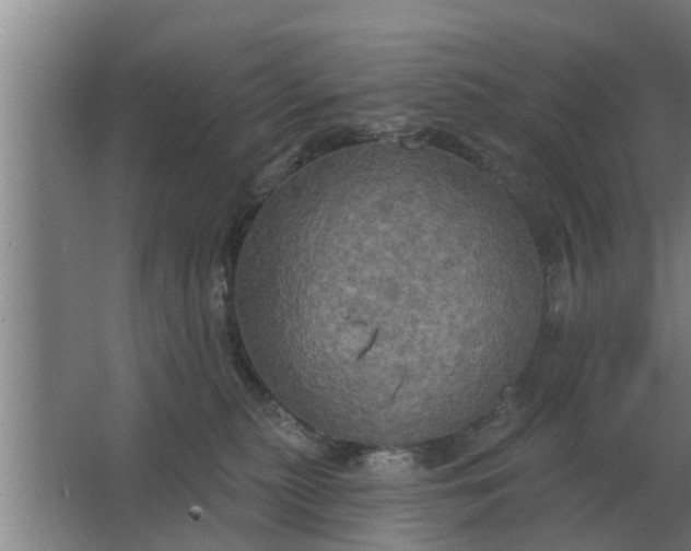 X0000063510279200602032051