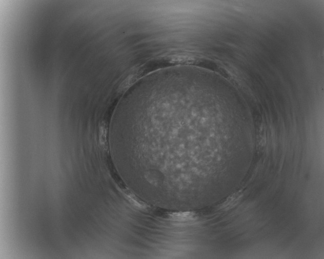 X0000063510281200602032051