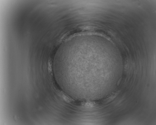 X0000063510282200602032051