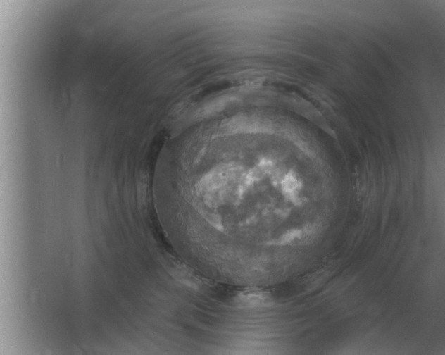 X0000063510283200602032051