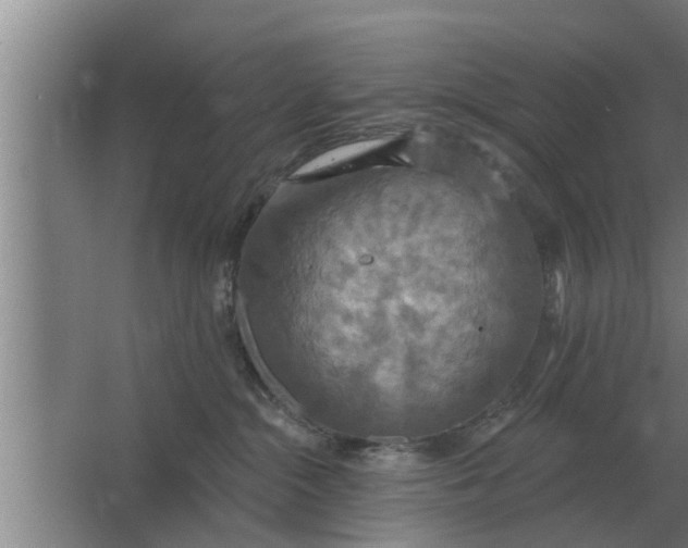 X0000063510284200602032051