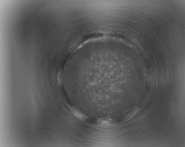 X0000063510285200602032051