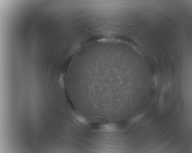 X0000063510286200602032051