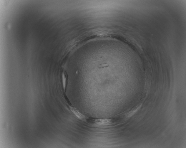 X0000063510288200602032051