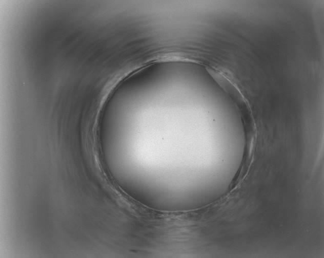 X0000063510289200602032050