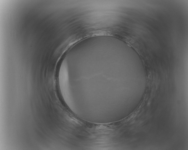 X0000063510290200602032050