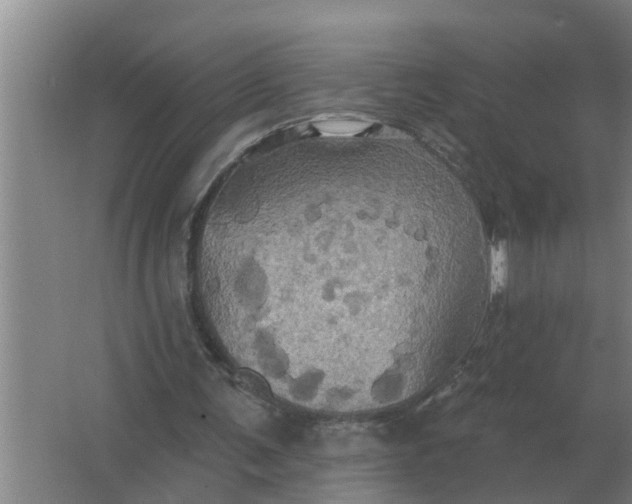 X0000063510291200602032050