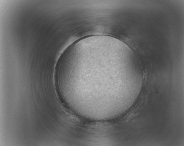 X0000063510292200602032050