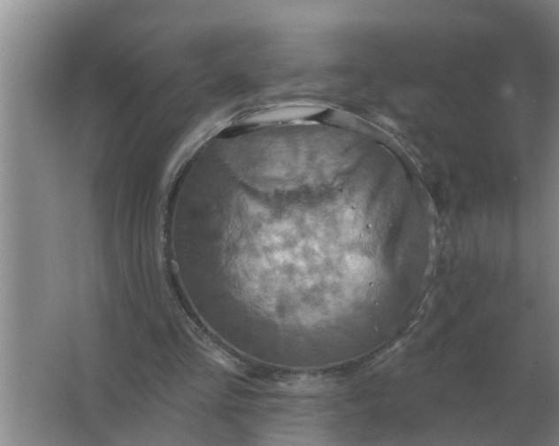 X0000063510293200602032050