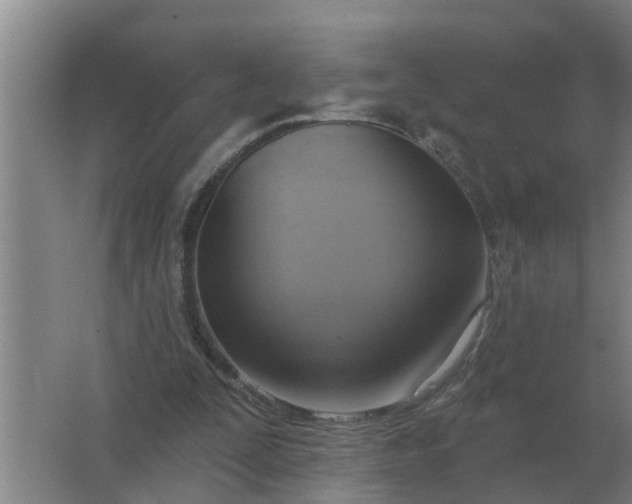 X0000063510295200602032050