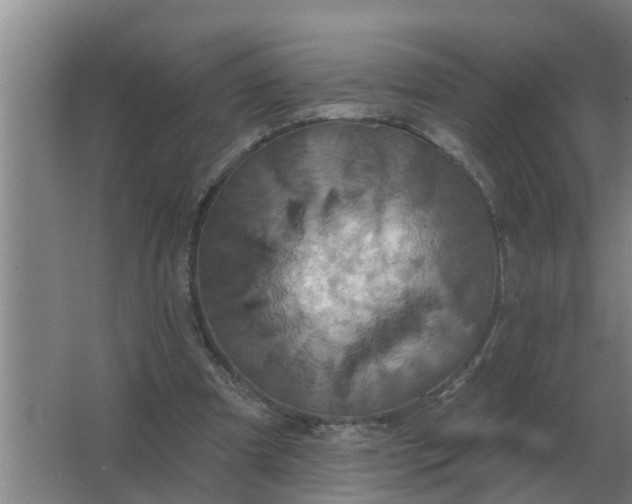 X0000063510297200602032050