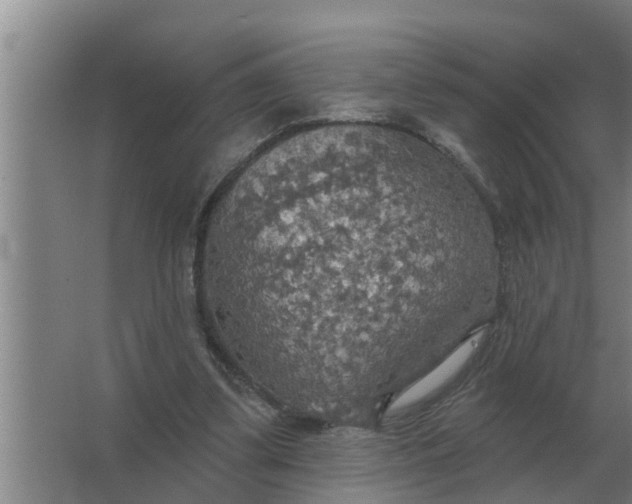 X0000063510299200602032050