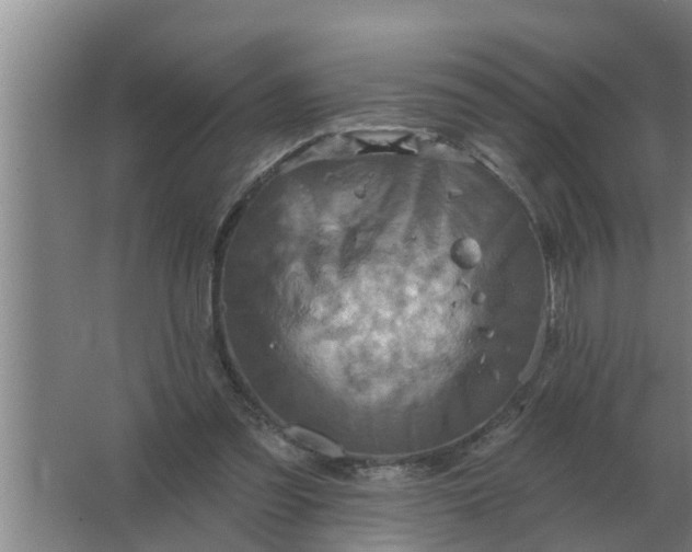 X0000063510301200602032050