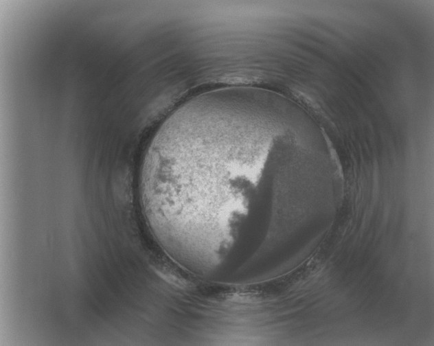 X0000063510303200602032050