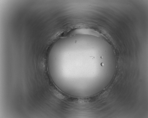 X0000063510305200602032050