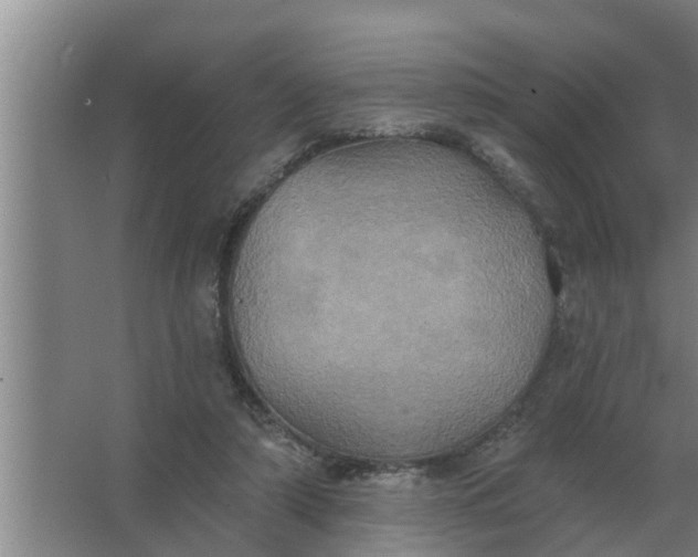 X0000063510306200602032050