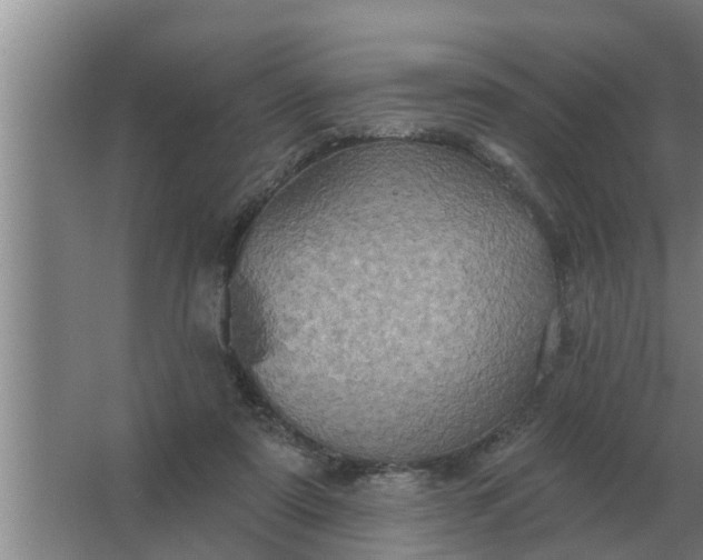 X0000063510307200602032050