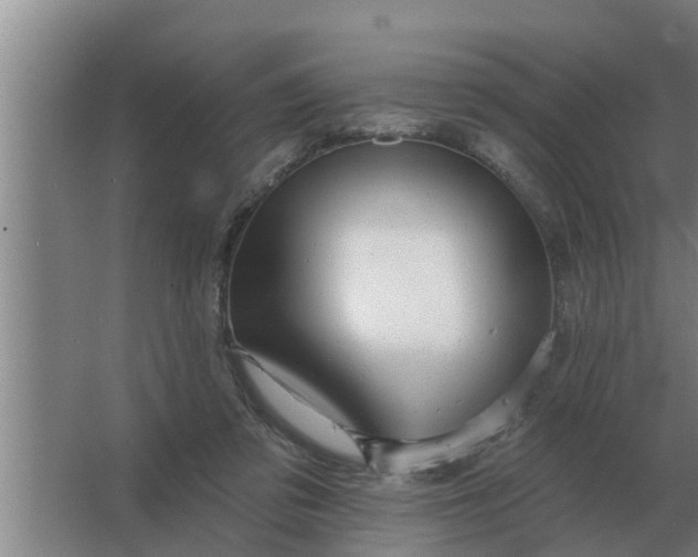 X0000063510309200602032050