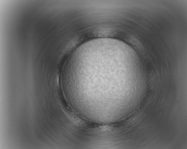 X0000063510310200602032050