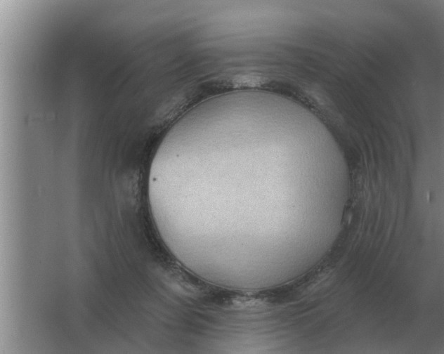 X0000063510311200602032050