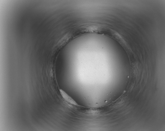 X0000063510313200602032050