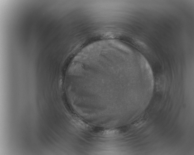 X0000063510314200602032050