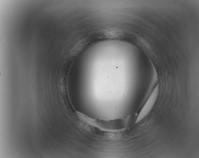 X0000063510317200602032050