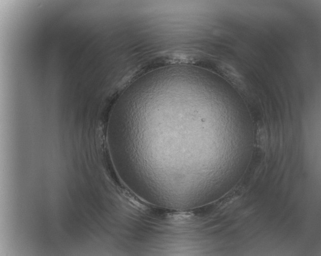 X0000063510318200602032050