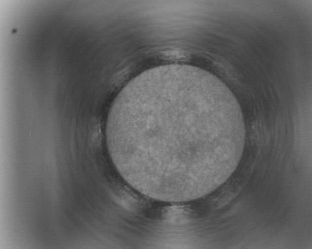 X0000063510320200602032050