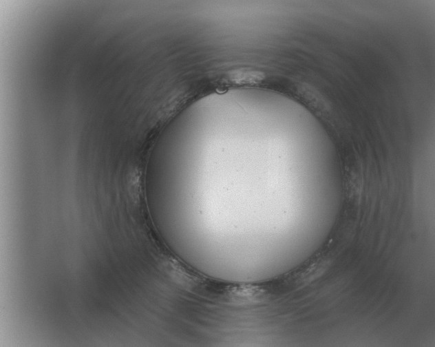 X0000063510321200602032050