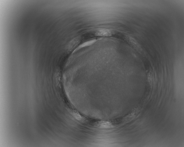 X0000063510322200602032050