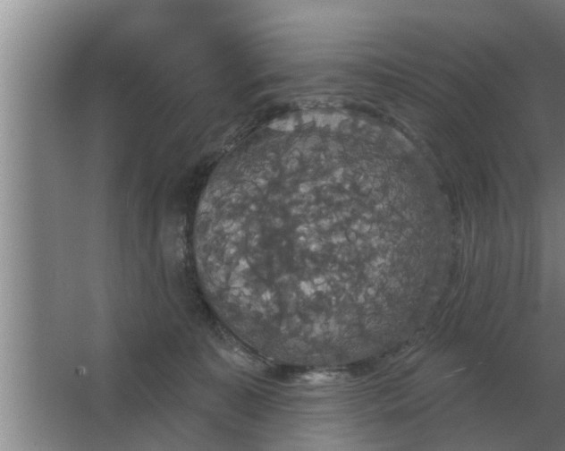 X0000063510323200602032050