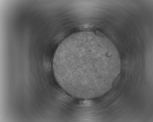 X0000063510324200602032050