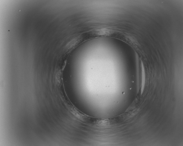 X0000063510325200602032050