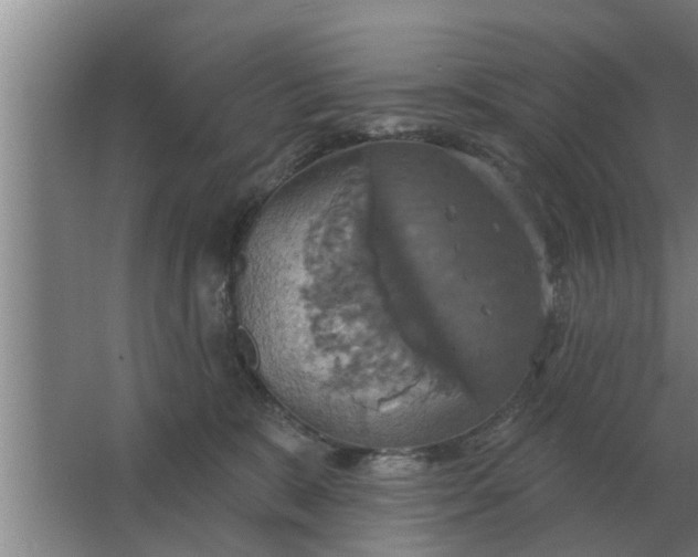 X0000063510327200602032050