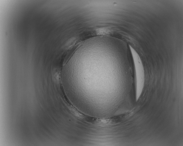 X0000063510329200602032050