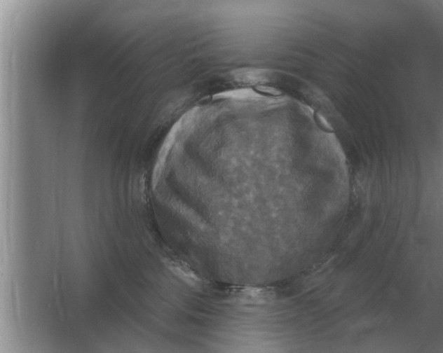 X0000063510330200602032050