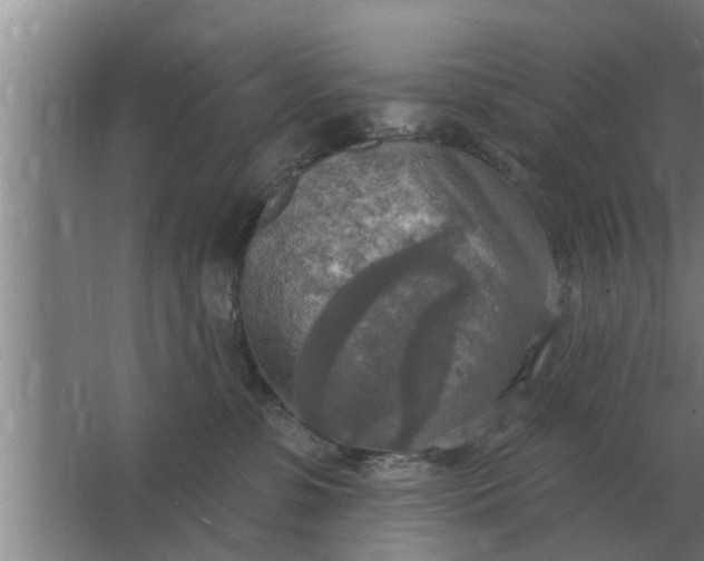 X0000063510331200602032050