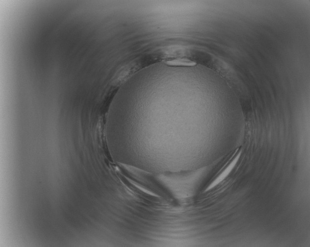 X0000063510333200602032050